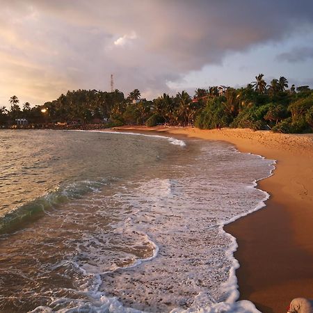 Turtle Bay Beach Resort Mirissa Eksteriør billede