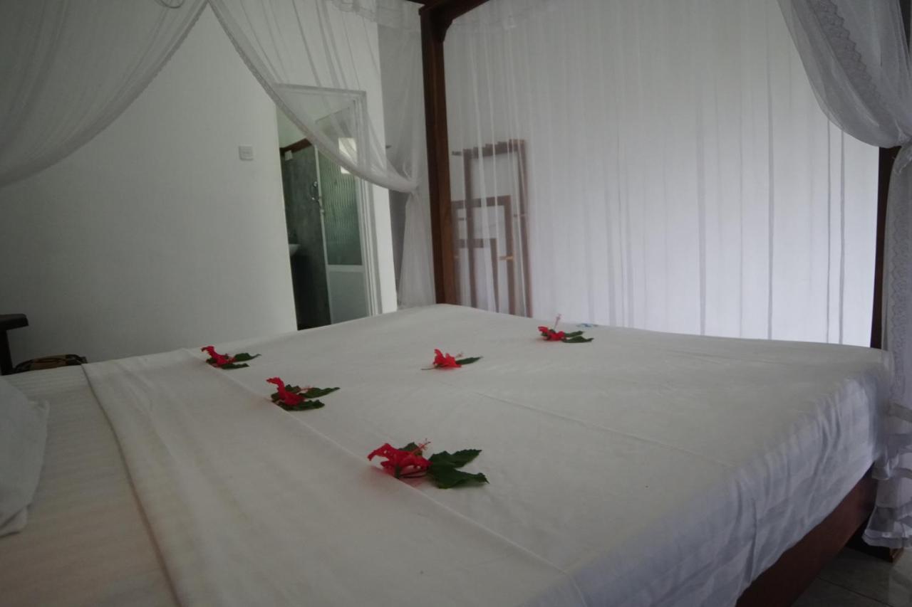 Turtle Bay Beach Resort Mirissa Eksteriør billede