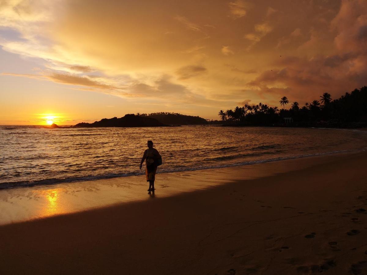 Turtle Bay Beach Resort Mirissa Eksteriør billede