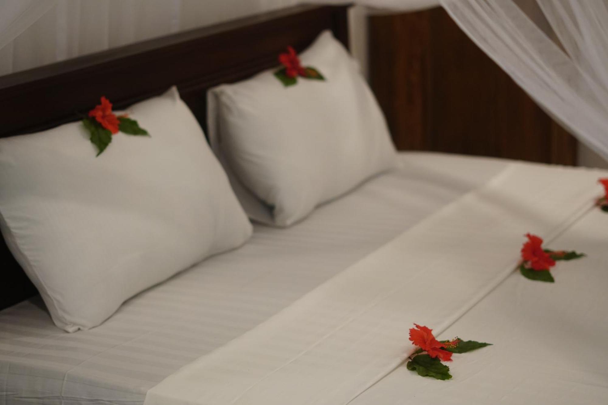 Turtle Bay Beach Resort Mirissa Eksteriør billede